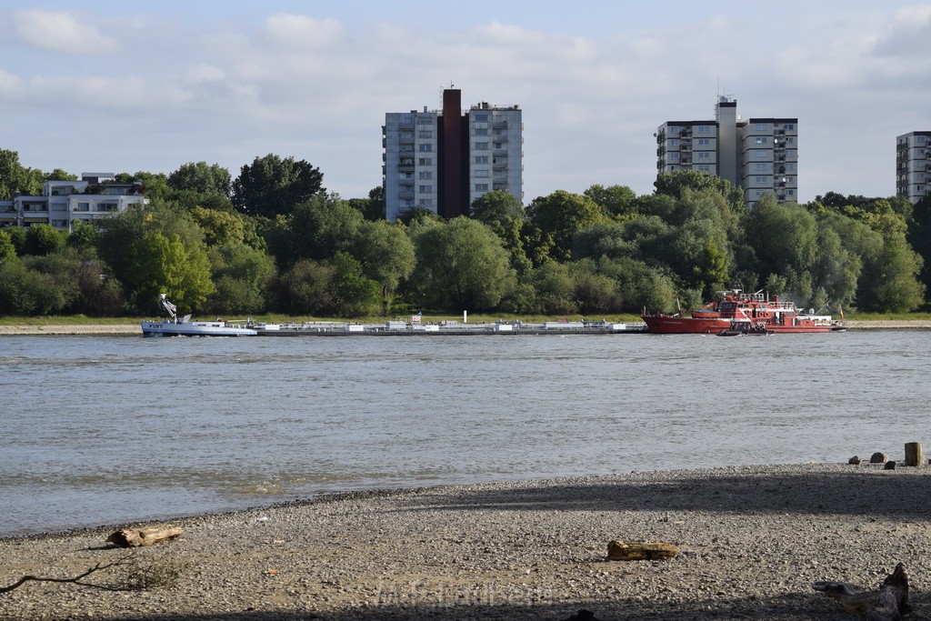 Schiff 1 Koeln in Hoehe der Koelner Zoobruecke P067.JPG - Miklos Laubert